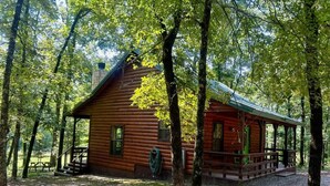 Una baita di legno con veranda, immersa tra gli alberi.