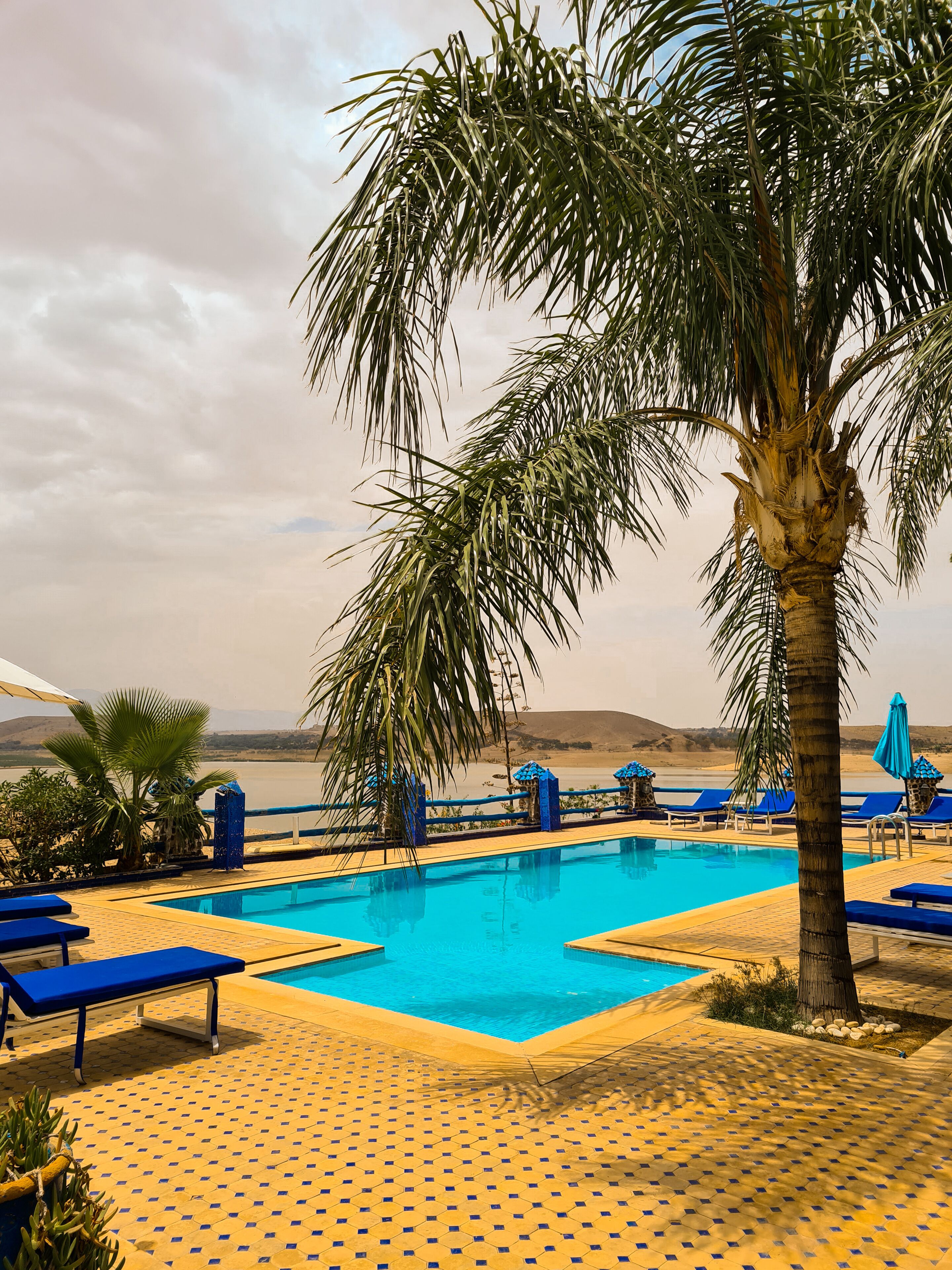 A pool area with blue lounge chairs, a palm tree, and a view of a desert landscape.