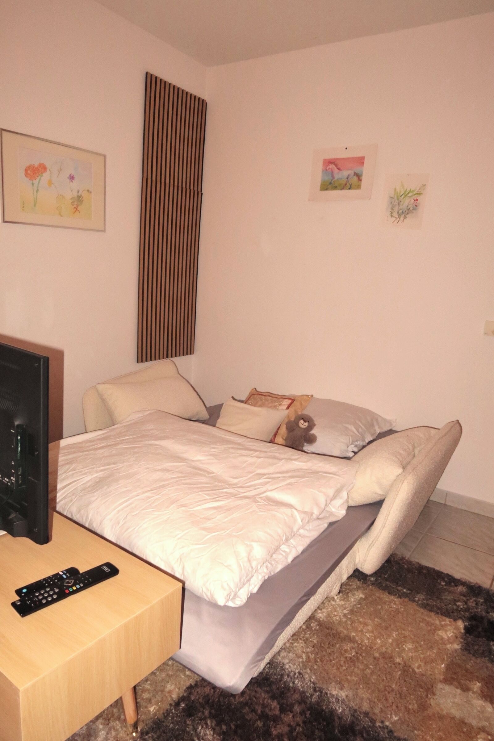 Une chambre d’hôtel avec un lit, une télévision, une télécommande et un petit tapis.