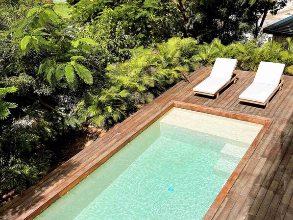 A rectangular pool with two lounge chairs on a wooden deck, surrounded by lush greenery. - Elegant Villa - 2 Bedrooms, Private Pool in Anse Marcel (Saint-Martin)