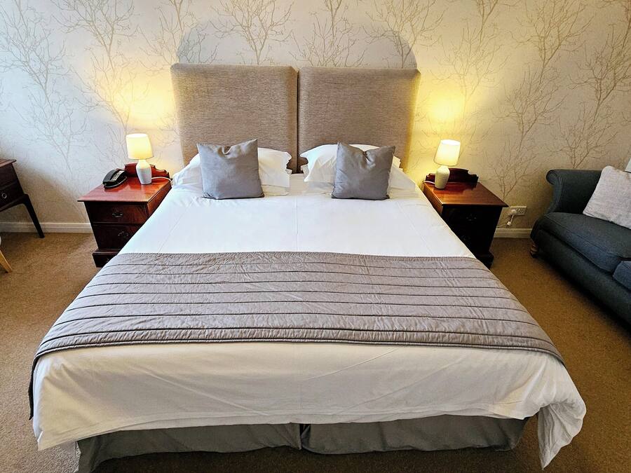 Habitación de hotel con una cama grande, dos lámparas de noche, un escritorio con una silla, un sofá y una pared con estampado de árbol.