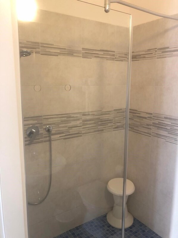 A glass-enclosed shower stall with a toilet and a showerhead.