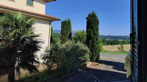 Property grounds - A Pochi Passi dal Chianti, Immersi nel Verde con Animali Ammessi (Cavriglia)