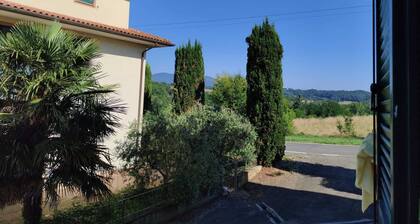 A Pochi Passi dal Chianti, Immersi nel Verde con Animali Ammessi