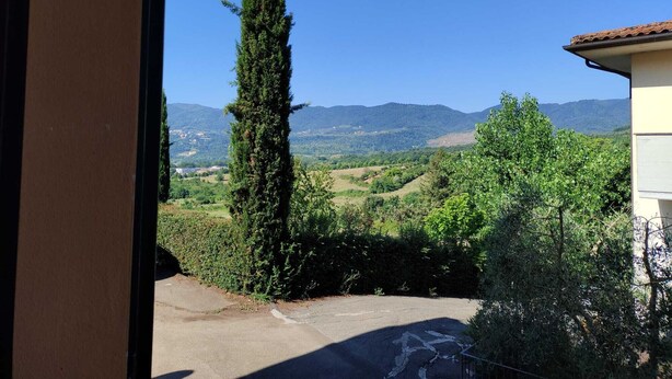 A view from a window overlooking a rural landscape with a tall tree and distant hills. - A Pochi Passi dal Chianti, Immersi nel Verde con Animali Ammessi (Cavriglia)
