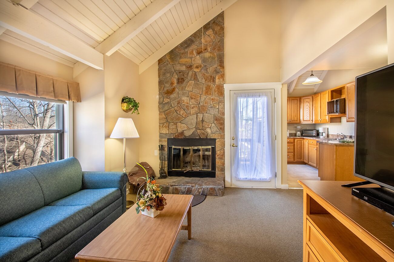 电视、壁炉、DVD 播放器