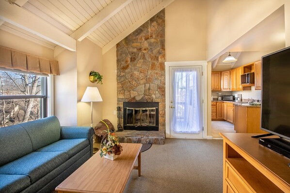 Televisión, chimenea y reproductor de DVD 