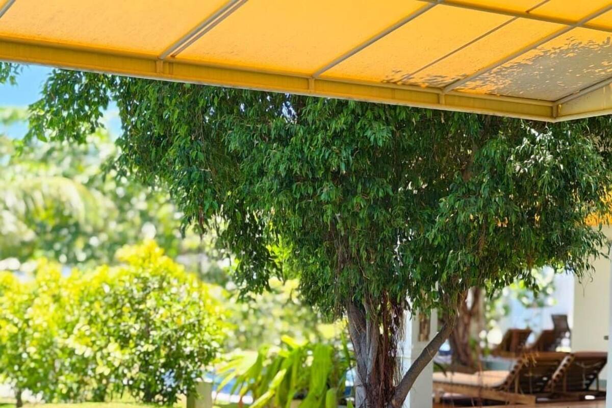 Zona de piscina con sillas de descanso, un árbol y un espacio de estar cubierto.