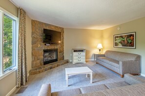 Fireplace, DVD player