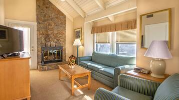 Télévision, cheminée, lecteur de DVD