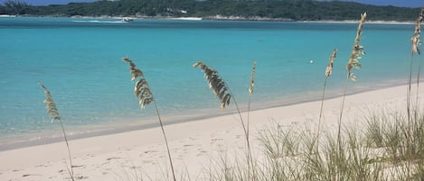 Plage, chaises longues, serviettes de plage