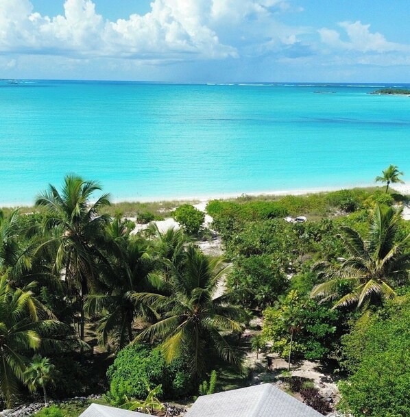 Plage, chaises longues, serviettes de plage