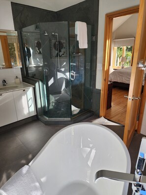 Shower, hair dryer, towels, soap