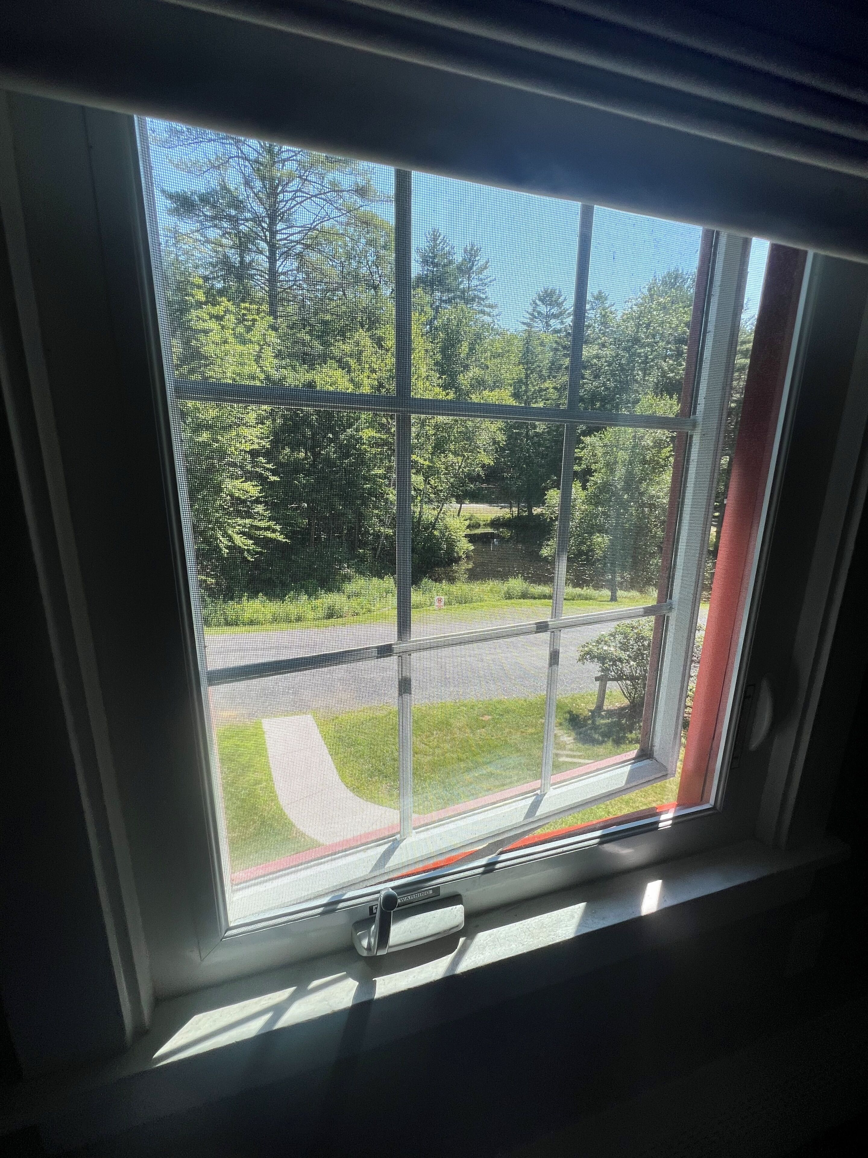 A window with a view of a road and greenery.