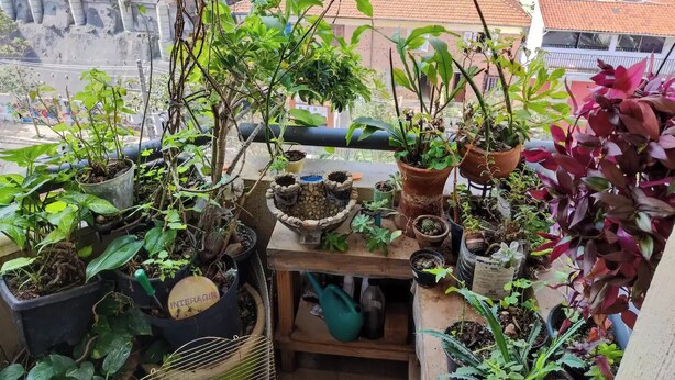 Ein Balkon mit verschiedenen Blumentöpfen, einem Gießkannen und einem kleinen Tisch mit einem Topf darauf.