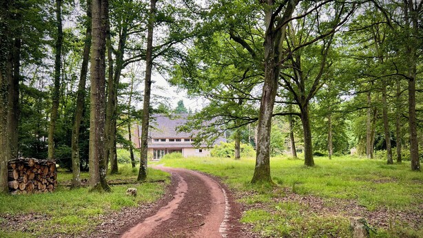 Un chemin de terre mène à un bâtiment entouré d’arbres.