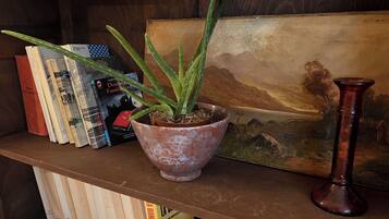 Une bibliothèque remplie de livres, un pot d’aloès, un vase décoratif et un tableau représentant un paysage.