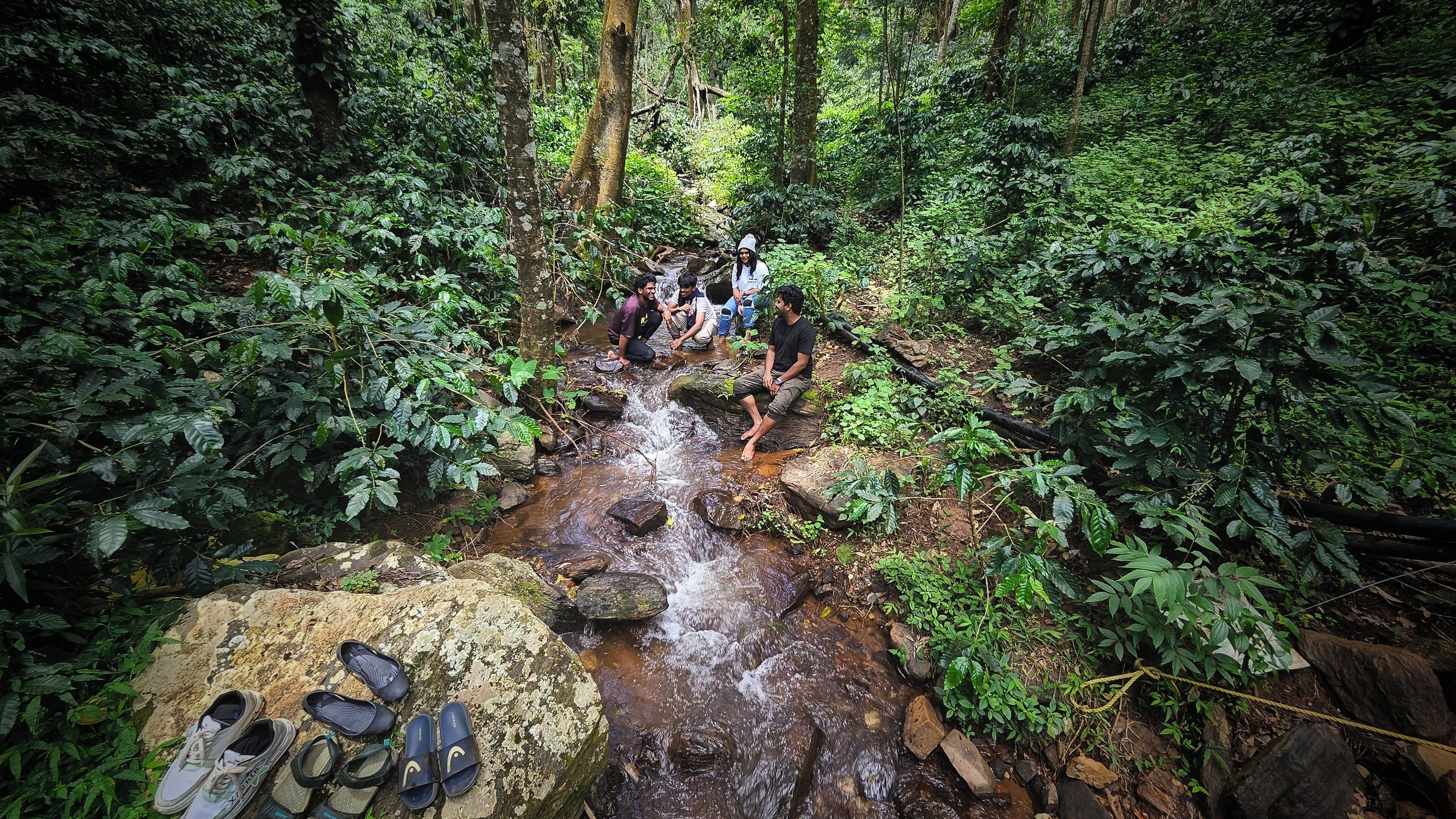 A group of people crossing a small stream in a forested area with rocks and foliage.