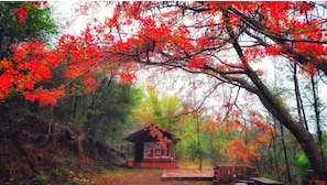 Garden - Devigiri Home Stay and Resort (Chikkamagaluru)