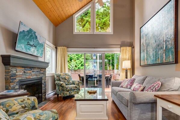 Smart TV, fireplace, books