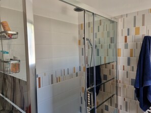 Shower, hair dryer, soap, toilet paper