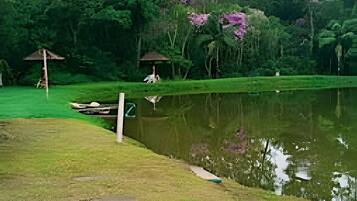 Área da propriedade