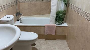 Shower, hair dryer, bidet, towels