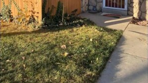 A house with a stone exterior, a wooden fence, and a small garden area. - Cozy 2-bedroom condo close to both Denver and the Mountains (Denver)