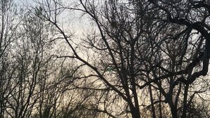 A pathway through a park with trees and a bench. - Cozy 2-bedroom condo close to both Denver and the Mountains (Denver)