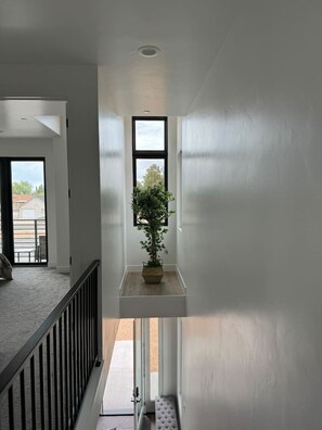 A hallway with a potted plant on a shelf, a window, and a door leading outside.