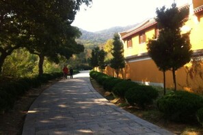 Property grounds - Putuoshan Peace Villa (Dacheng Temple) (Zhoushan)