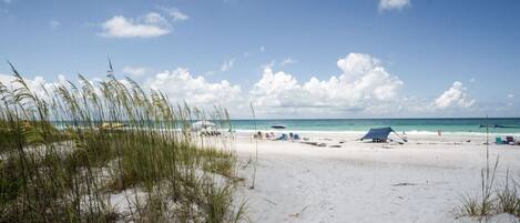 Playa en los alrededores