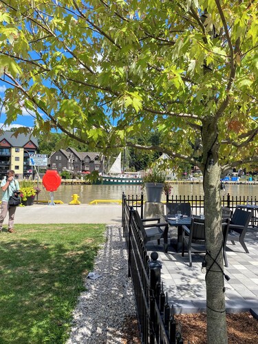 Amazing Views of Two Beaches – Treehouse Retreat with Wildlife & Waves