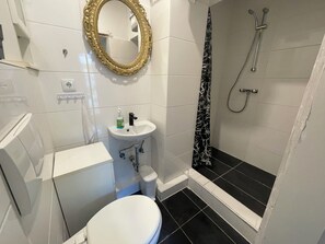 Shower, towels, toilet paper