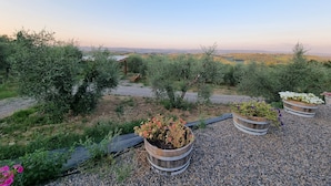 Ein Garten mit Holzpflanzgefäßen und Blick auf ferne Hügel.
