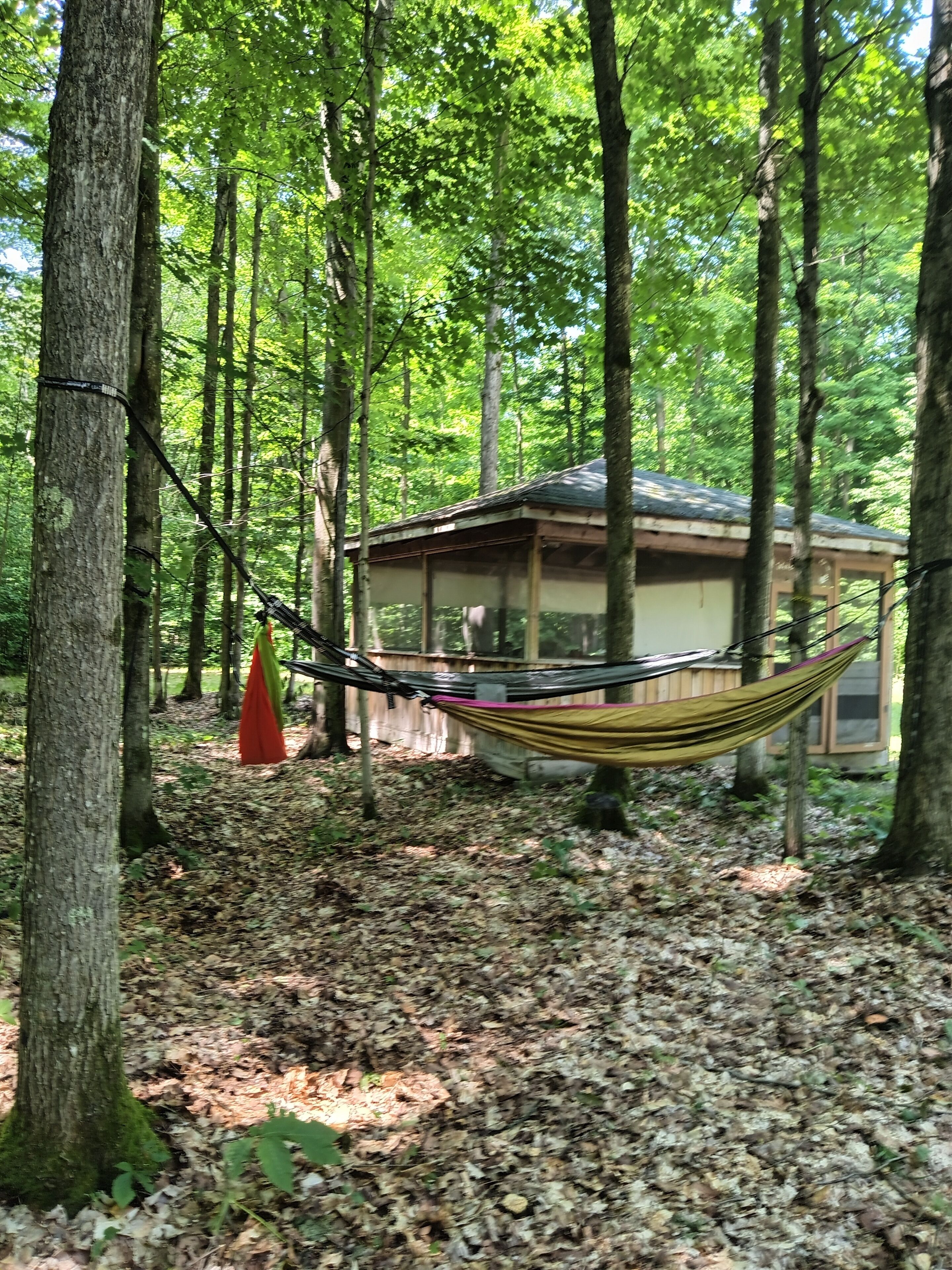 Overnattingsstedets uteområder