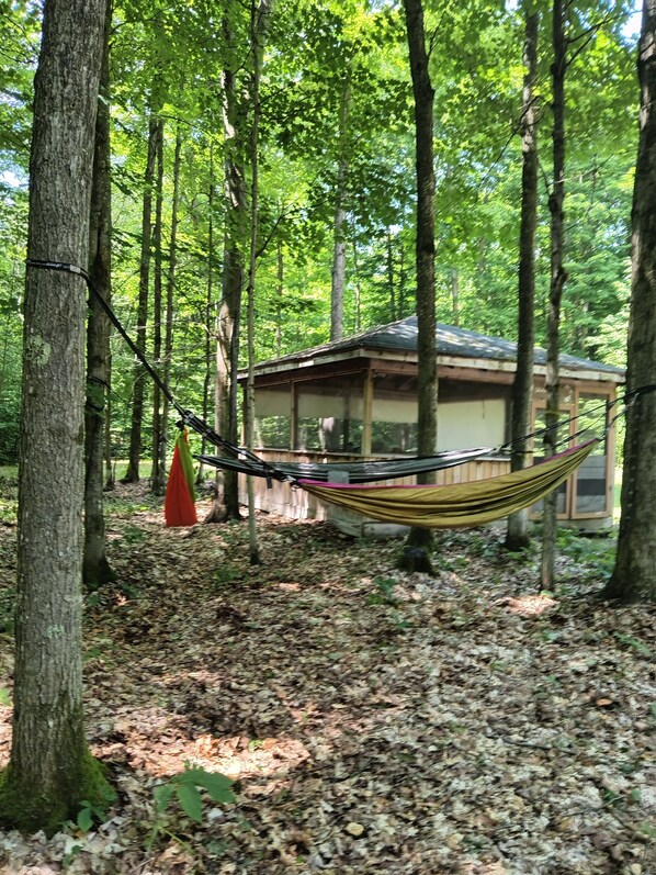 Property grounds - Rustic Cabin on 10 secluded acres (frederic)