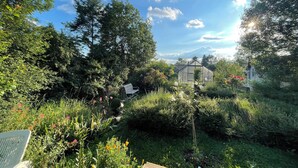 Un jardín con un invernadero, un banco y diversas plantas.