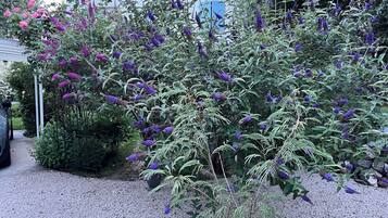 Un jardin où poussent différentes plantes et fleurs, dont des variétés aux couleurs violettes et roses, devant un bâtiment dont la porte est bleue.