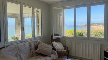 TV connectée, cheminée, livres