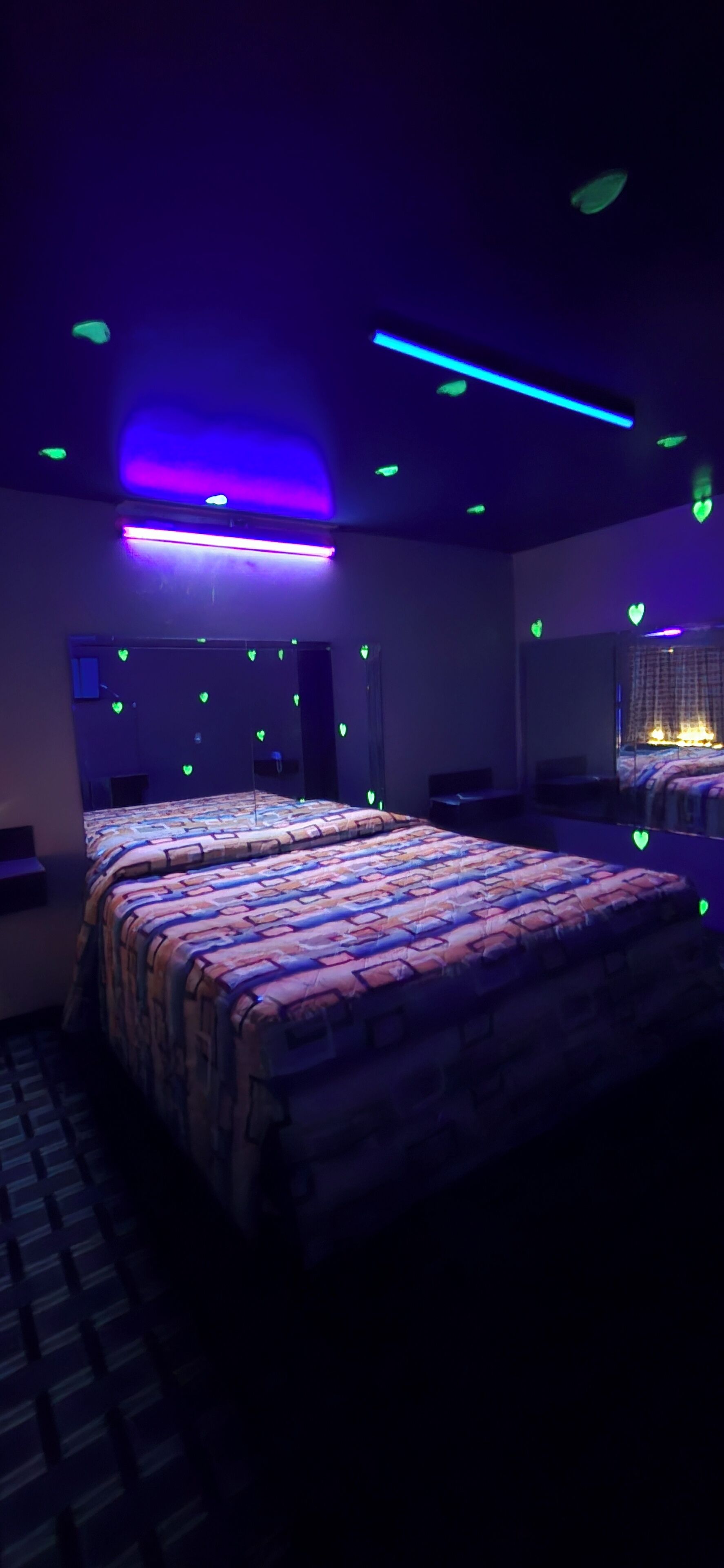 Deluxe Single Room | Living area