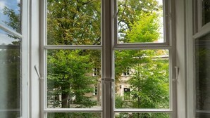 Ein Fenster mit Blick auf Bäume und ein Gebäude.