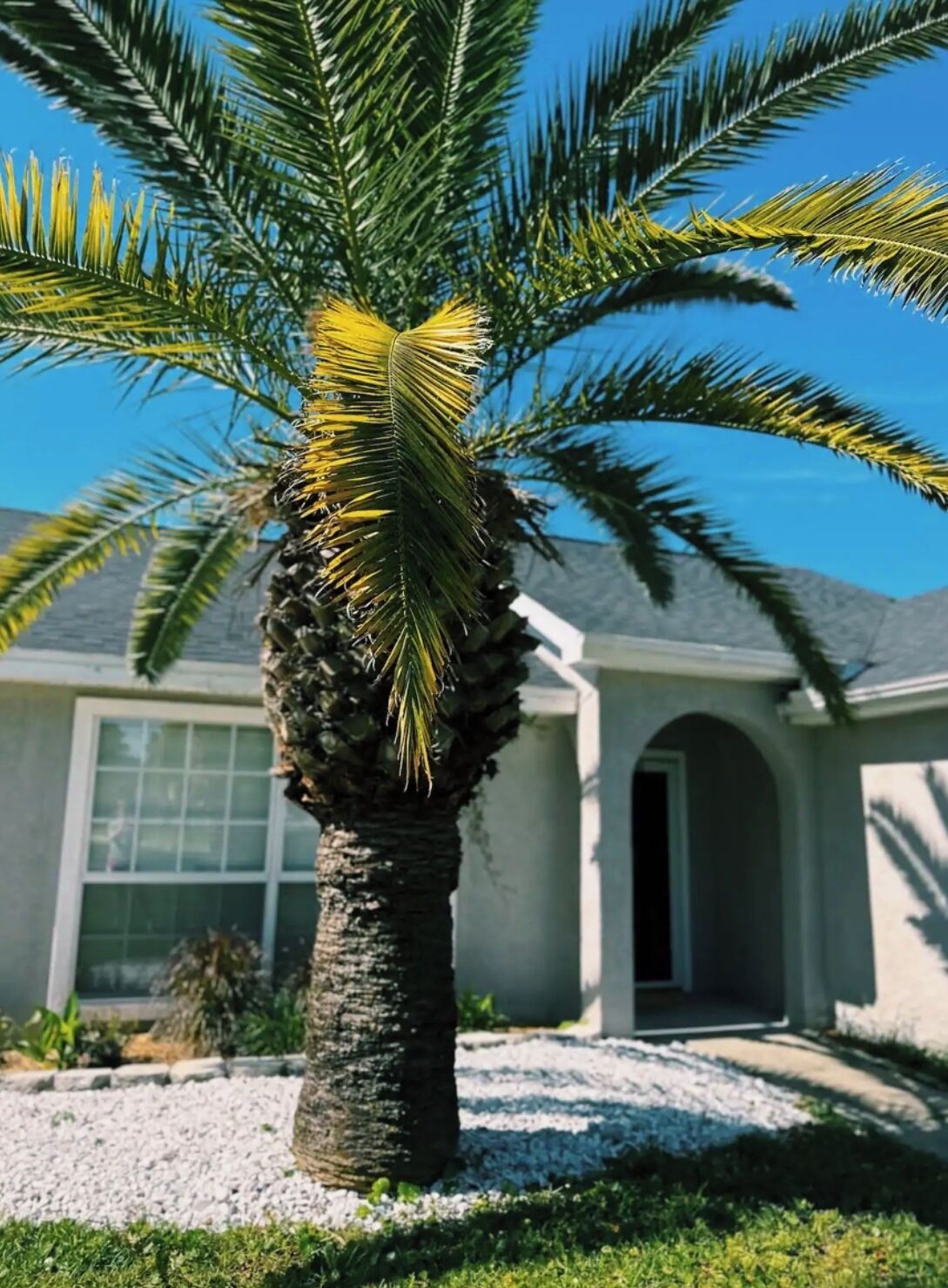 Charming 3-bedroom house with private pool minutes away from PCB beaches