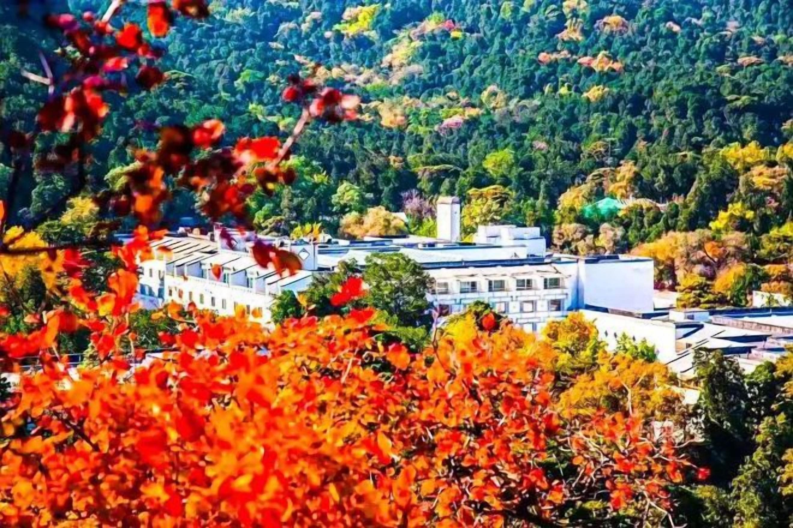 A building with a flat roof and a central tower, surrounded by trees with autumn foliage.