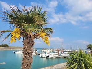 A marina with boats docked, a palm tree with yellow flowers, and a clear blue sky.