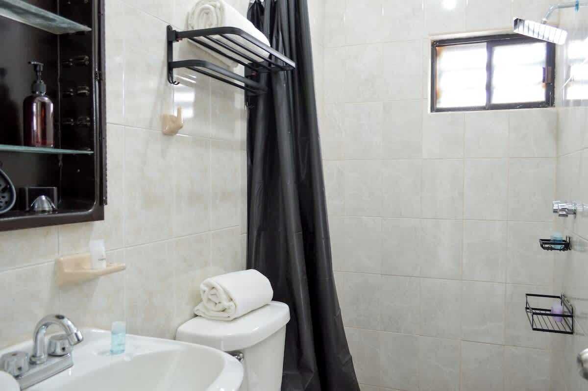 Shower, hair dryer, shampoo