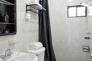 Shower, hair dryer, shampoo - Ramon Corral 504-B, Col. Hidalgo (Monterrey)