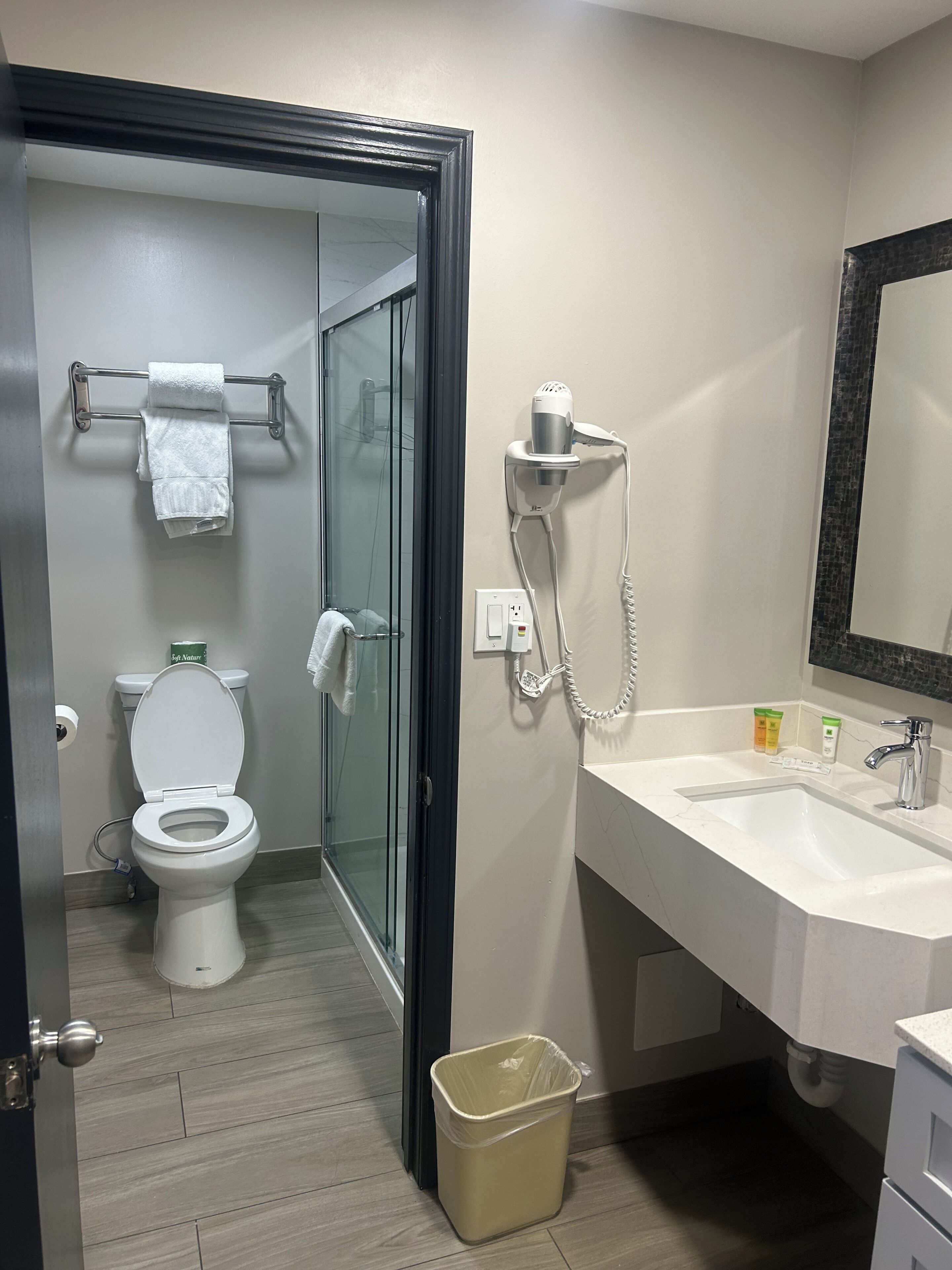 Deluxe Room, 1 King Bed, Non Smoking, Refrigerator & Microwave | Bathroom | Shower, rainfall showerhead, hair dryer, towels