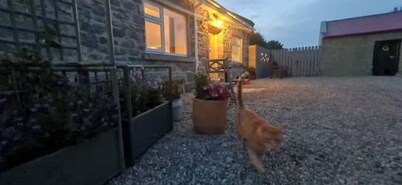 Charming Farmland Escape in the Heart of Ireland
