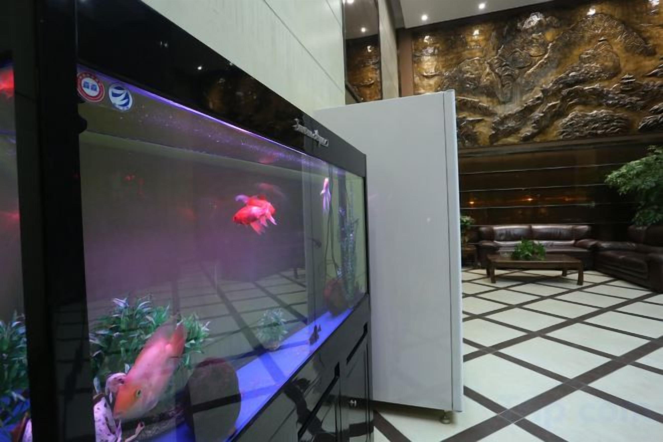 A large aquarium with aquatic life, a staircase, and a textured wall in the background.